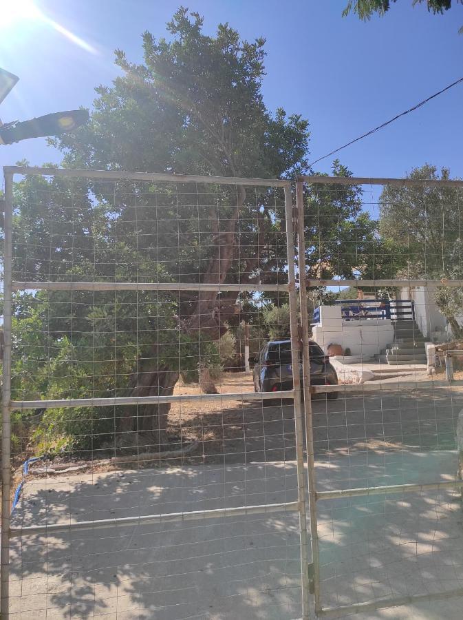 The Traditional House-Skalia,Kalymnos Εξωτερικό φωτογραφία