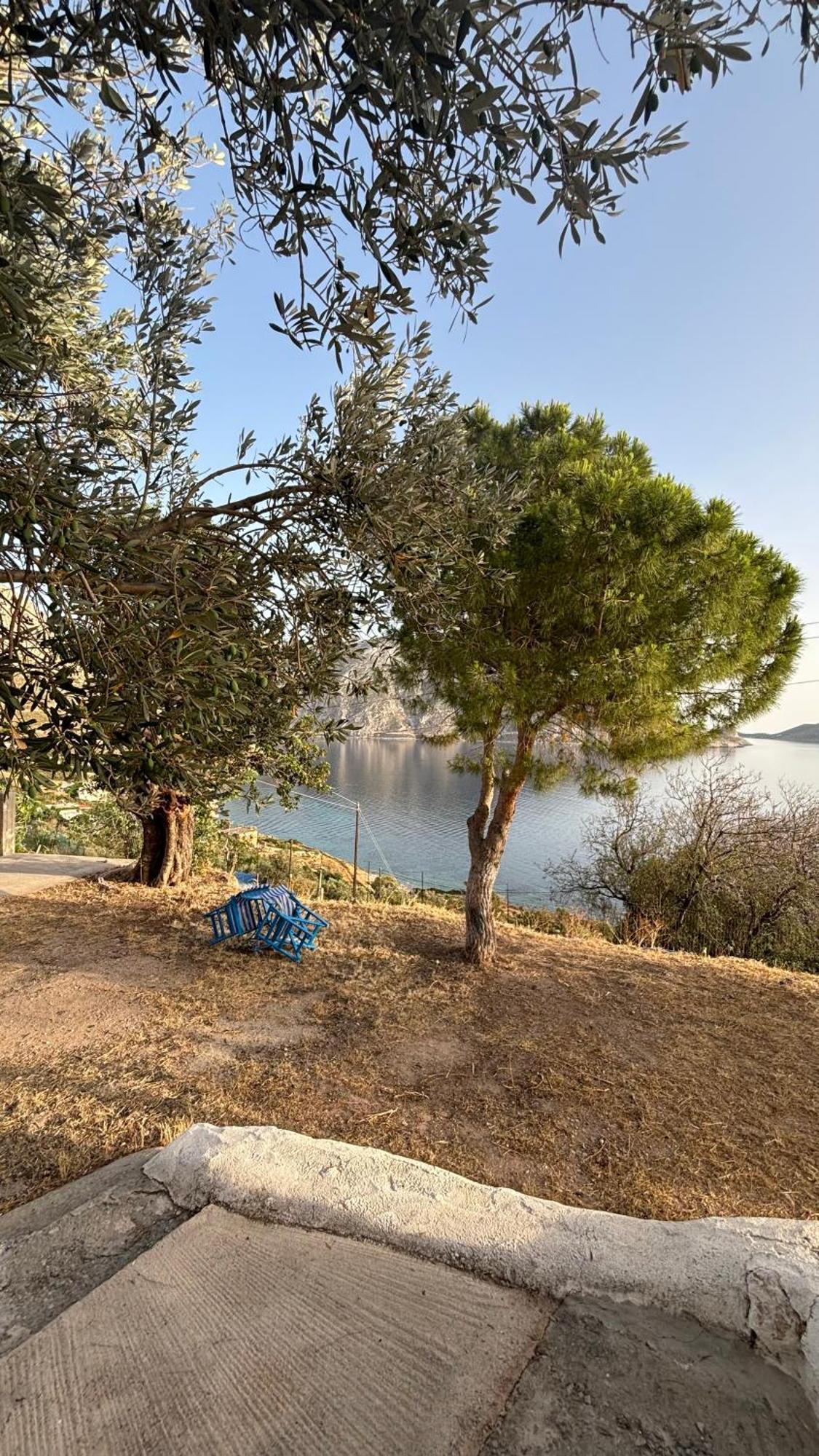 The Traditional House-Skalia,Kalymnos Εξωτερικό φωτογραφία